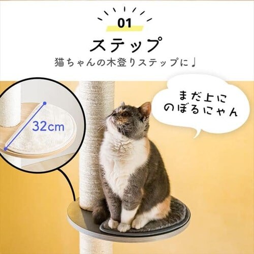 Lbg^[ ˂ O[ KCCT]244 _9