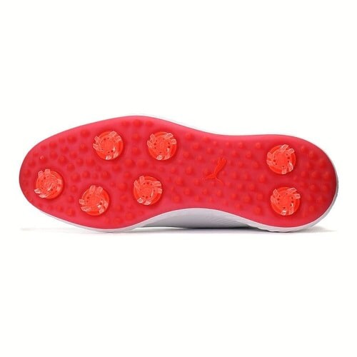 v[} v[}StCOiCgp[A_vg vfBXN v[}zCg 193993 27.5cm_4