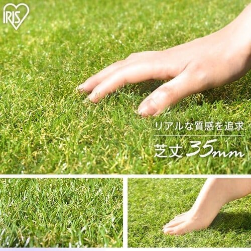 人工芝 1m×1m 芝丈35mm リアル質感 IP-3511 7184190│アイリスオーヤマ