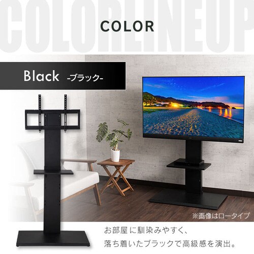 Ǌ|er 80C`Ή nC^Cv 75755 zCgyvUZNgz_18