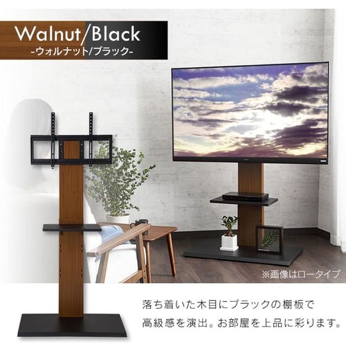 Ǌ|er 80C`Ή nC^Cv 75755 zCgyvUZNgz_20