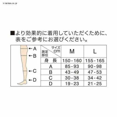 3ZbgnQȂ烁fBLbg Xpbc Ճe[sOEX M ubN _6