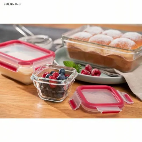 T-fal マスターシールグラス レクタングル 450ml クリア/レッド N10405 _3