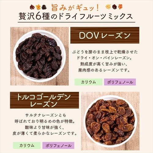 6種のドライフルーツミックス500g 【プラザセレクト】【プラザマーケット】 7190580│アイリスプラザ│アイリスオーヤマ公式通販サイト