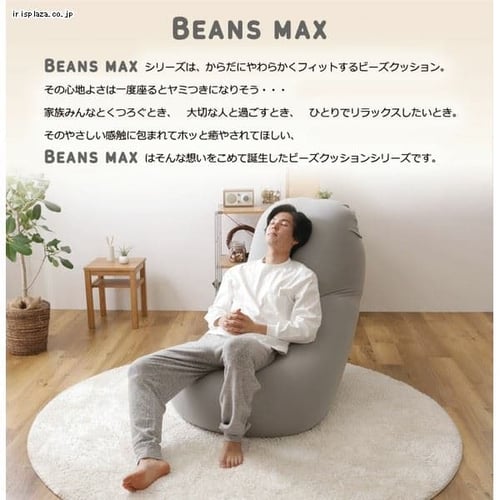 ビーズクッション U字サポートセット ブルー 7192050 │アイリス