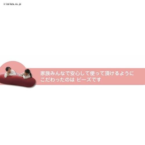 r[YNbV UT|[gZbg u[_13