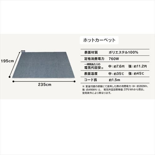 ホットカーペット+シャギーラグ 200×250cm SGR-2025 モカブラウン