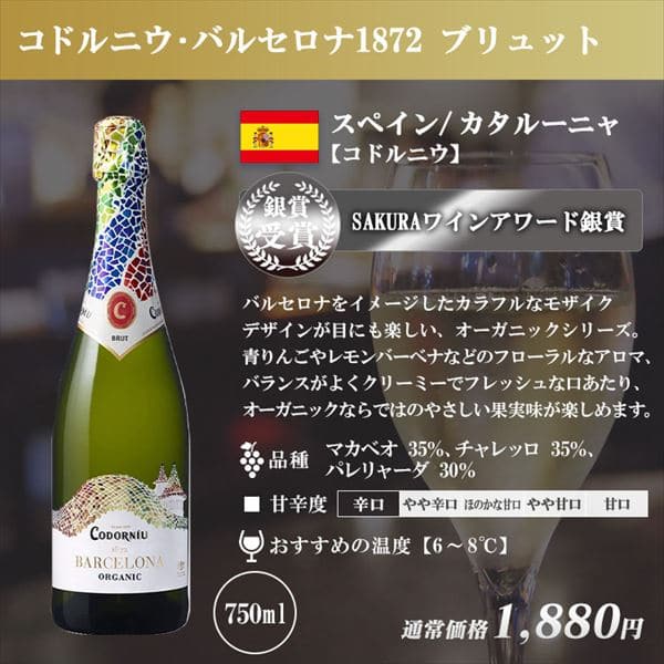 スパークリングワイン 6本セット 【時間指定不可】【代引不可】【同梱不可】【プラザセレクト】【プラザマーケット】  7192188│アイリスプラザ│アイリスオーヤマ公式通販サイト