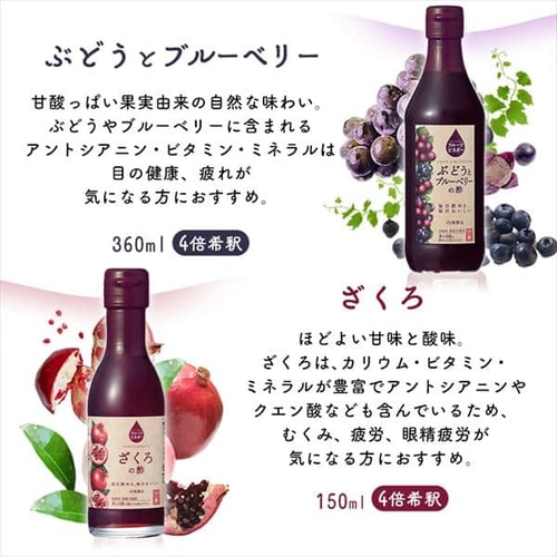 【6本セット】フルーツビネガー360ml×2本・150ml×4本 FV-30A 【プラザセレクト】