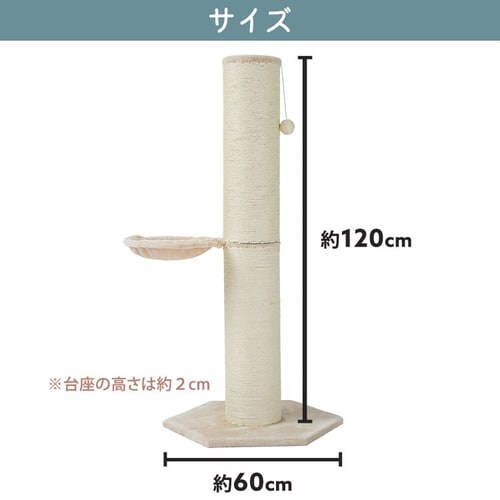 ܂Ƃ|[ 120cm CSPH-6012 S2yvUZNgz_19