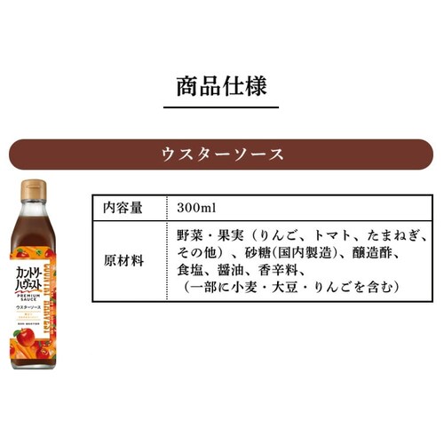 �Ƃ񂩂\�[�X �J���g���[�n�|���F�X�g 300ml_14