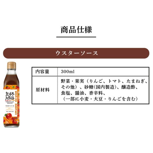 Jg[n|FXgEX^[\[X300ml yvUZNgz_9