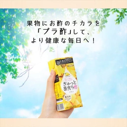 エルビー ぎゅっと果実+酢アソート24本飲み比べセット 【プラザセレクト】【プラザマーケット】  7204867│アイリスプラザ│アイリスオーヤマ公式通販サイト