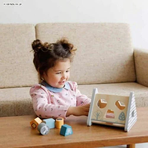 シェイプソーター TYPR44007 【プラザセレクト】_2