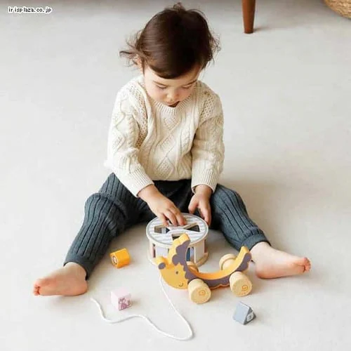 ソーティングプルトイ・はりねずみ TYPR44025 【プラザセレクト】_2