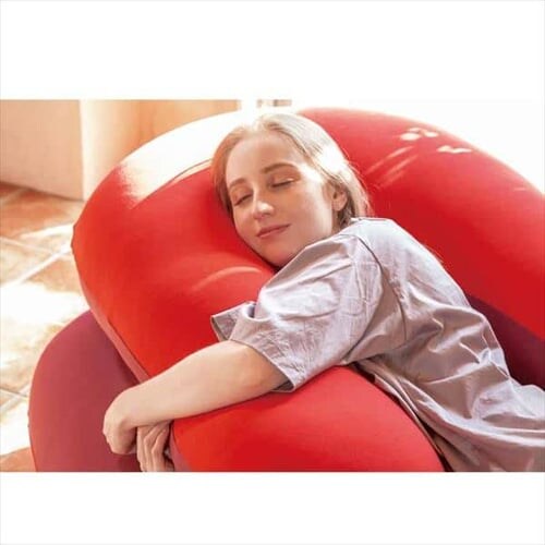 r[YMAXv~A EgS[f[r[Y750g  _7