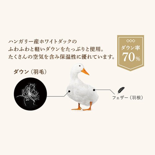 |zc VO H nK[YWDD70 Y a u[_9