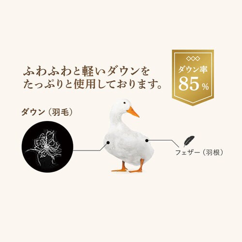 |zc VO H WDD85% [ a u[_9