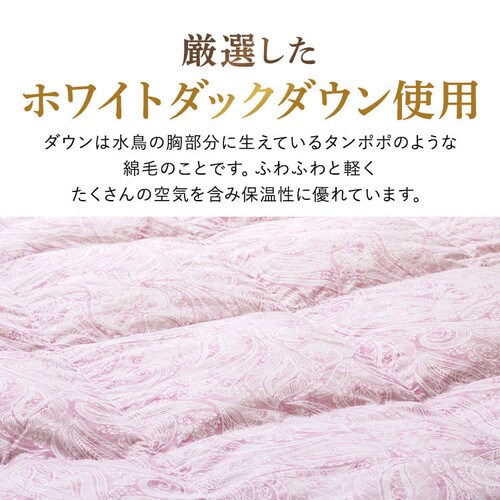 昭和西川 ダウンケット WDD50%レーヨン FF2208P 全2色【プラザセレクト】_8