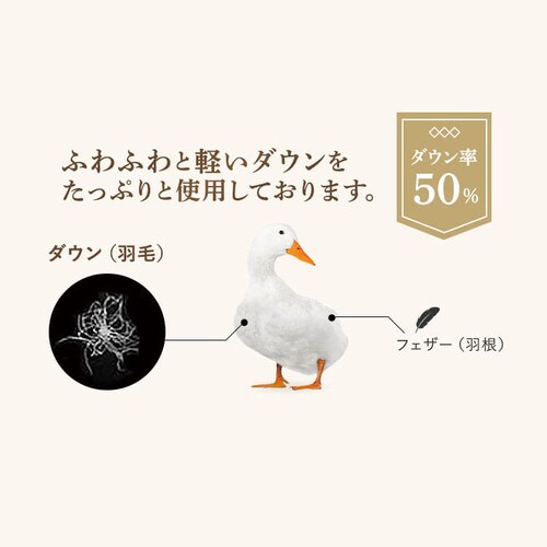 昭和西川 ダウンケット WDD50%レーヨン FF2208P 全2色【プラザセレクト】_9