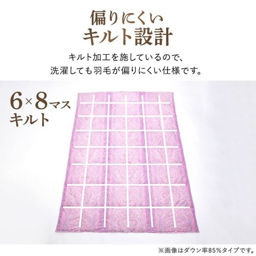 昭和西川 ダウンケット WDD50%レーヨン FF2208P 全2色【プラザセレクト】_14