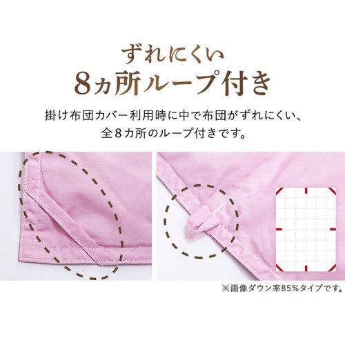 昭和西川 ダウンケット WDD50%レーヨン FF2208P 全2色【プラザセレクト】_15