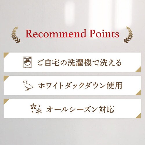 昭和西川 ダウンケット WDD50% FF2211P 全2色【プラザセレクト】_4