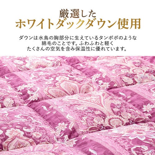 昭和西川 ダウンケット WDD50% FF2211P 全2色【プラザセレクト】_7