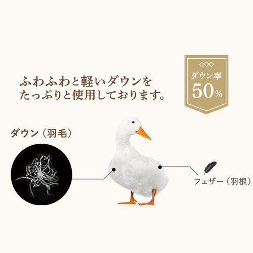 昭和西川 ダウンケット WDD50% FF2211P 全2色【プラザセレクト】_8