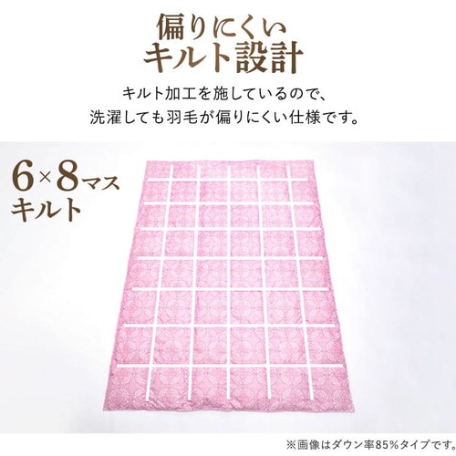 昭和西川 ダウンケット WDD50% FF2211P 全2色【プラザセレクト】_12