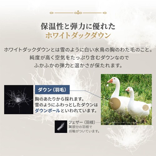 y2Zbgz|zc VO H WDD90 yCY[sN~AC{[_9