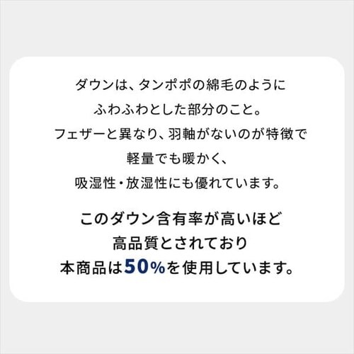 |zc VO H WDD50 ԃu[ ayszyOsz_8