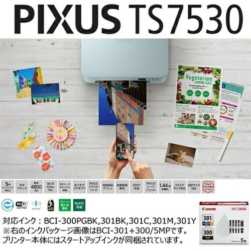 v^[ CNWFbg@ Canon PIXUSTS7530WH_2