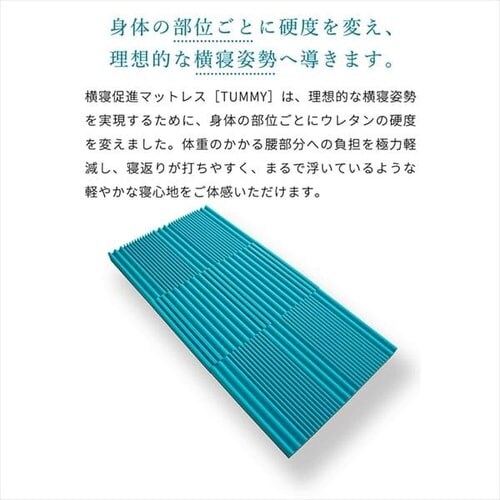 }bgX VO O܂ 8cm Tummy 10MSTUMMY-8SIR_2