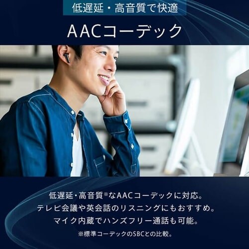 ワイヤレスイヤホン WEP-101 ブラック 7245698 │アイリスプラザ