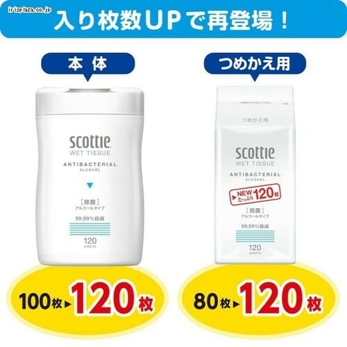 スコッティ ウェットティッシュ 除菌 アルコール つめかえ用 120枚 77017 _5