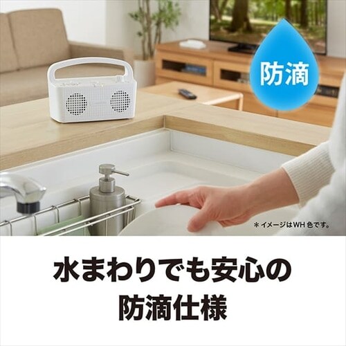 オーディオテクニカ ワイヤレススピーカーシステム AT-SP767XTV BK ブラック【プラザセレクト】