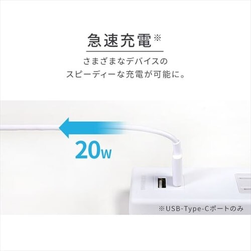 d^bv 2 USB[d|[gt 2m ߓd TPU-22AC-W ACXI[}_4