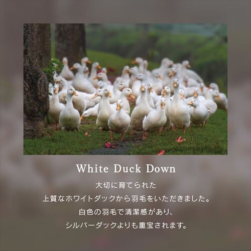 Hѕzc VO WDD90% 400dp 0.7kg y O[yszyOsz_9