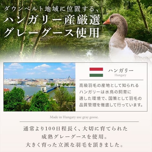 2層式羽毛掛け布団 グレーグースダウン GGD95%(ハンガリー産) 1.6kg