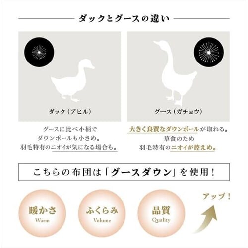 a Hъ|ӂƂ nK[WGD93 Te_5