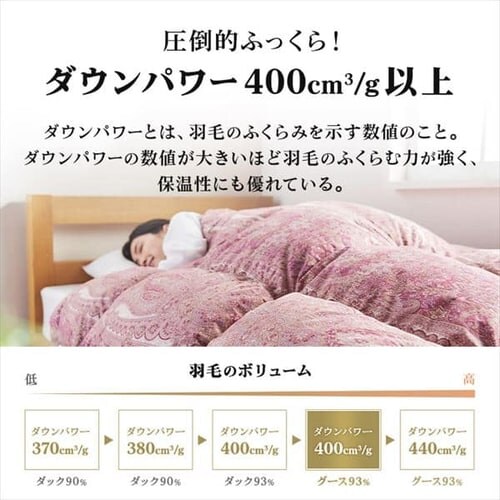 a Hъ|ӂƂ nK[WGD93 Te_6