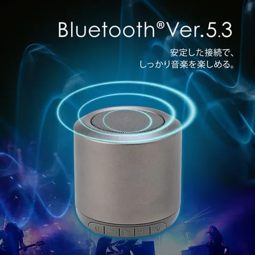 Xs[J[ Bluetooth Agp24h BTS-101-H O[ _3