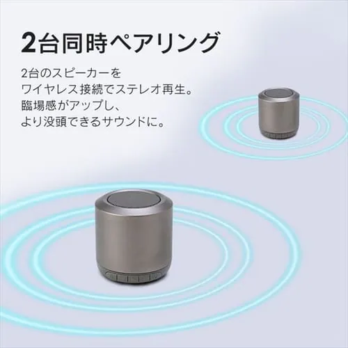 Xs[J[ Bluetooth Agp24h BTS-101-H O[ _6
