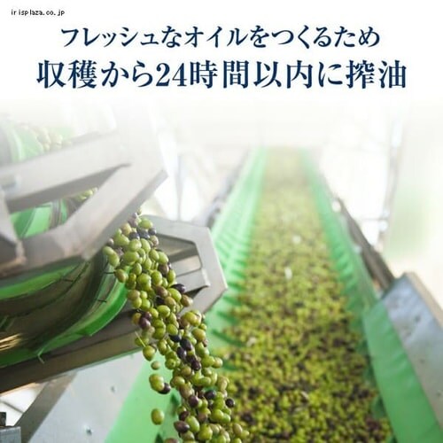 富永貿易 【3本】ガルシア エルオリバーデルソル エクストラバージンオリーブオイル 1000ml 【プラザセレクト】【プラザマーケット】  7250580│アイリスプラザ│アイリスオーヤマ公式通販サイト