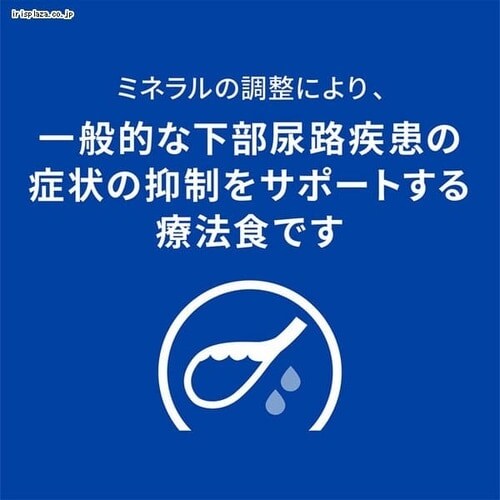 qY ʗÖ@H Lp APA c/d }`PA tBbV 500g Lbgt[h hCt[h_3