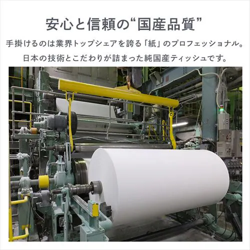 y5pbNz eBbV \tgpbN 300 (150g) 5pbN Y_6