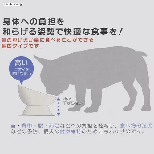 スケーター 短頭犬用 食器 陶磁器製 ペットフード入れ 幅広 マット付 CHOB3 全4色_3
