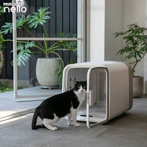 �y�b�g�h���C���[�� nello�@�S3�F�y�����z_2