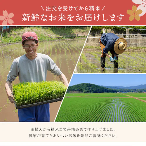 【10kg】宮城県産 ひとめぼれ 5kg×2 令和7年産 【時間指定不可】【プラザセレクト】【代引き不可】_4